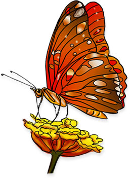 flower butterfly