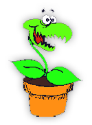 happy flytrap