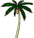 palm tree with coconuts animated