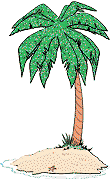 palm tree on a small island