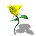 yellow rose dancing