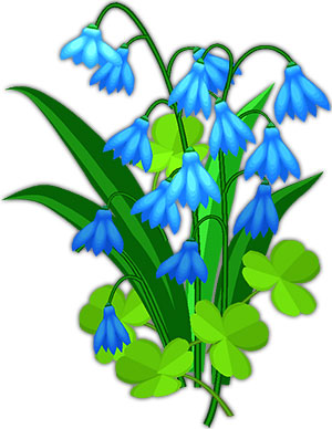blue flowers with clover