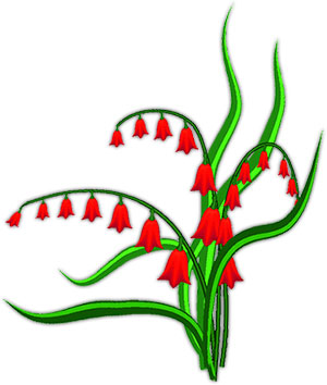 little red bell flowers