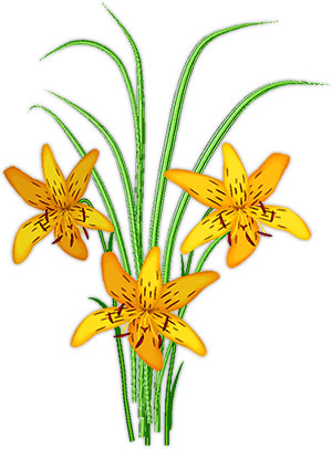 three lilies