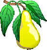 pear gif file