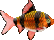 fish icon - T transparent gif