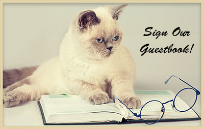 Sign Our Guestbook cat