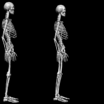 animated skeletons