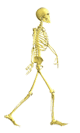 cool halloween skeleton animated