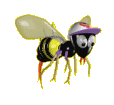 bee flying animation