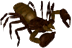 false scorpion image