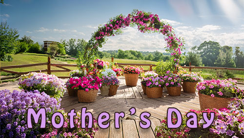 flowers Mother's Day