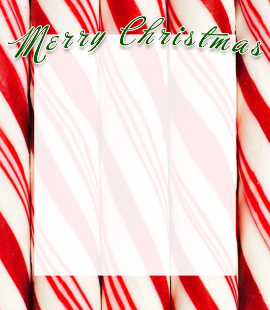 Merry Christmas candy canes