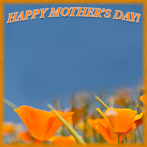 Happy Mother's Day with orange flowers