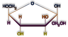 fructose molecule graphic