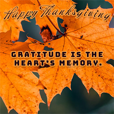 gratitude Thanksgiving