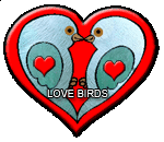 love birds graphicT
