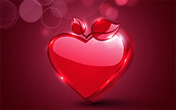 single heart
